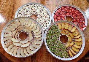 Dehydrated-fruit