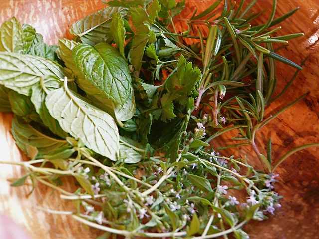 Dehydrating Fresh Herbs - Home in the Finger Lakes
