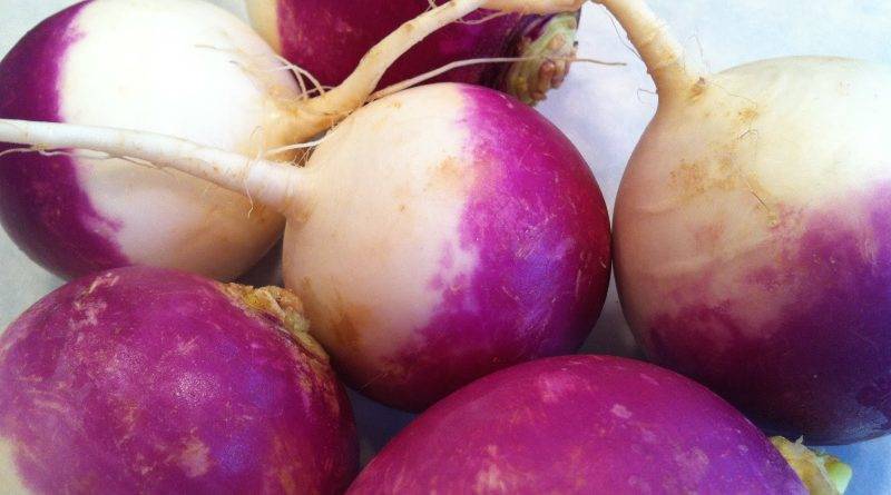 Cooking with sous vide make miracles out of the mundane, including the inexpensive and humble turnip.